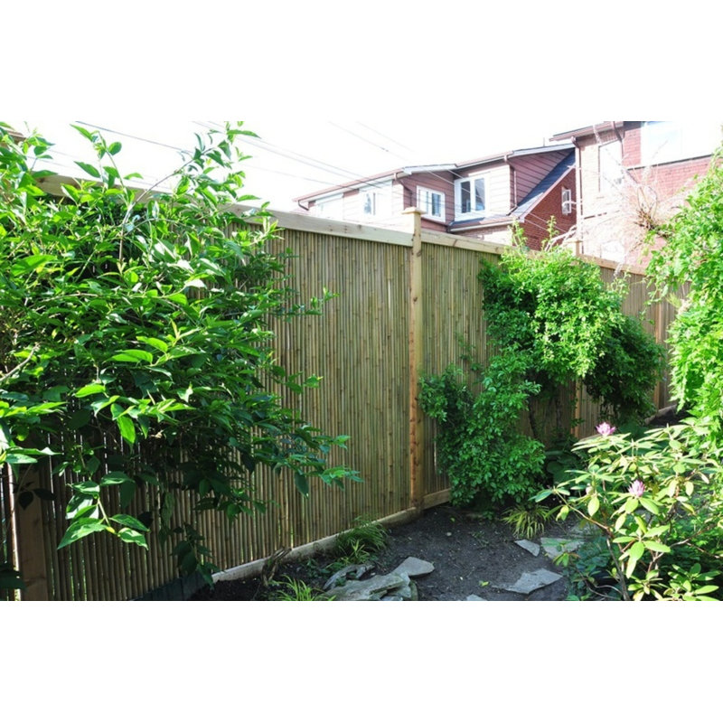 MGP Tonkin Bamboo Fencing & Reviews | Wayfair MGP Tonkin Bamboo Fencing & Reviews | Wayfair